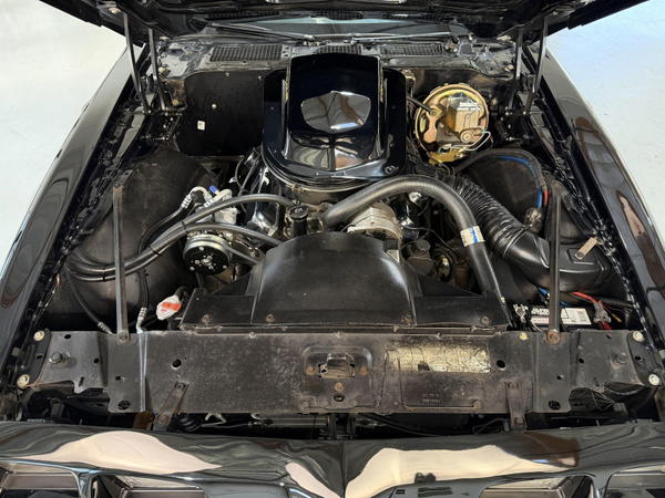 1979 Pontiac Firebird Trans Am