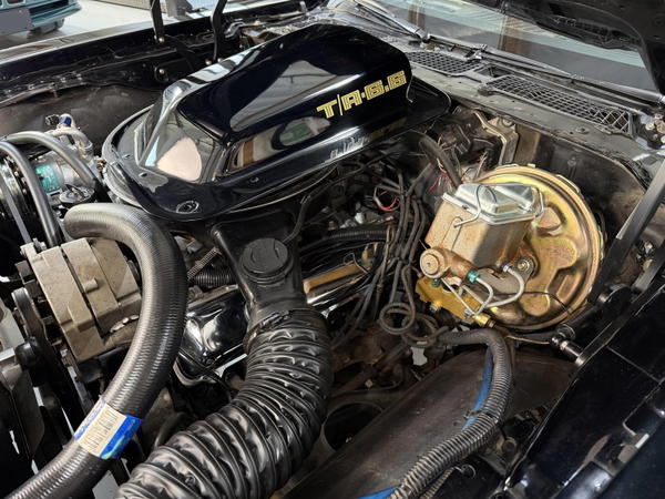 1979 Pontiac Firebird Trans Am