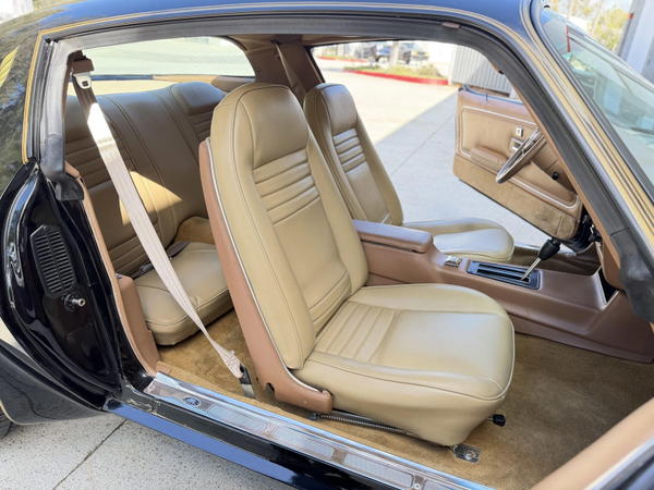 1979 Pontiac Firebird Trans Am