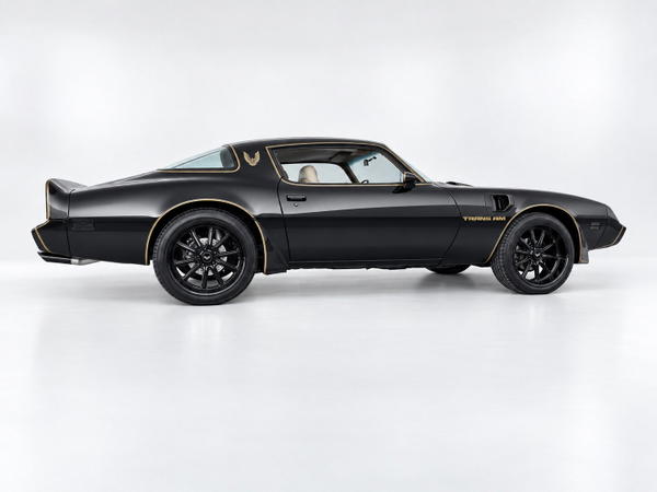 1979 Pontiac Firebird Trans Am