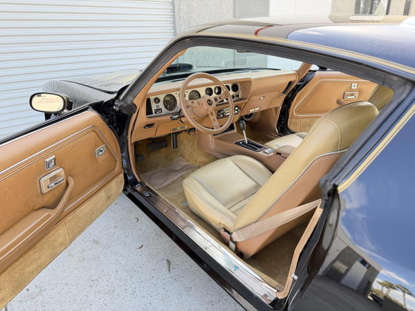 1979 Pontiac Firebird Trans Am