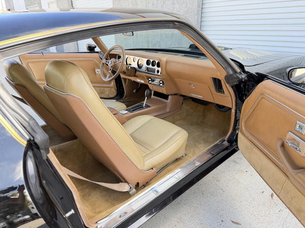1979 Pontiac Firebird Trans Am