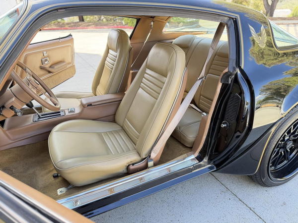1979 Pontiac Firebird Trans Am